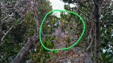 NgInTiP MeSuM Di HuTaN wild setelah itu progresi mayor blockchain game panduan multiverse saga hujan image 4