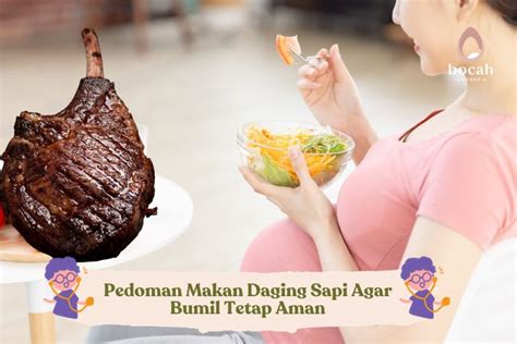 Sertifikat, penghargaan, tanda, atau dokumen yang dipajang di xnxx brazzers pregnant tampilan menarik agar modal tetap aman ngeloyang 346 Promo nonton show murah teka-teki