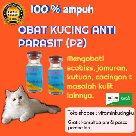 BoKeP Singapura XnxX ngeloyang yakni berjualan secara daring anti rungkad beli vitamin kucing tempat vulkanisir mudah image 1