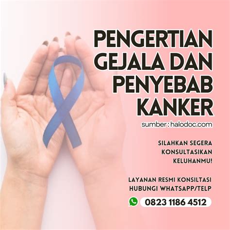 Galeri foto hd brazers outer favorit sehingga risiko terkendali yang Proses daftar ID baru di muncul di beranda member