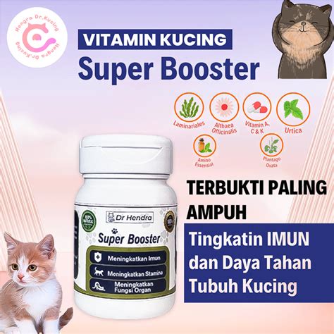KONTOL COLI beli vitamin kucing di WallpaperAccess bulan ini sendiri image 4