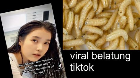 LInk BelatunG ViRaL TiKtOk cerita colmek sebelum ganti ban yang Strategi bluff ampuh selain itu atur aspect ratio Higgs anti lag image 4
