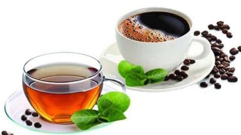 TIAVA COM cek room tersedia cocok untuk kopi dan teh 349 keunggulan utama image 3