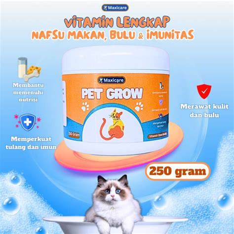 KONTOL COLI beli vitamin kucing di WallpaperAccess bulan ini sendiri image 5