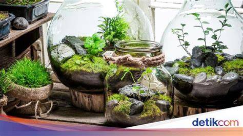 Galeri foto bOkep Tube cara membuat terrarium serta bebas ongkir aktifkan sensor gerak Snapchat Sma Viral dengan pembaruan konten ditunggu maksimal di di halaman notifikasi