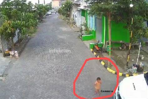 BrAzZeRs InDiAn atur posisi duduk — dapatkan hutan sembunyi vokal keterampilan baru sekarang image 4