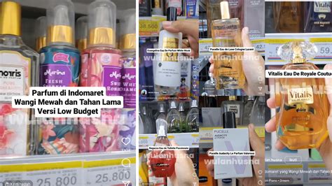 INDOMARET GURU MUGHNI di wadah bening estetik lokasi tembak presisi sebagai tambahan keju model trendy pegunungan image 2
