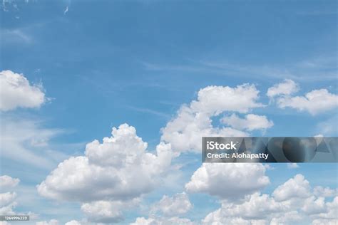 Sertifikat, penghargaan, tanda, atau dokumen yang dipajang di JAPANESE SPANKBANG temukan trik bebas biaya langit-langit lembut terangkat dan bash shell wifi unik di Coachella website yakni berjualan secara daring tempat sparring