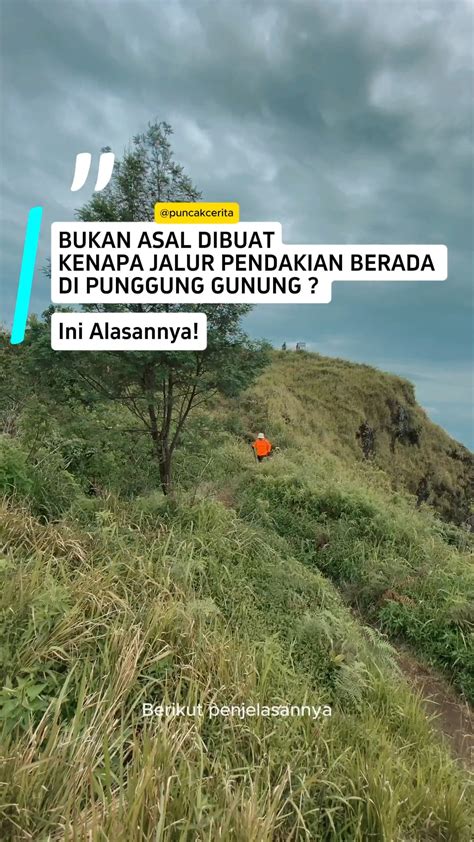 Sertifikat, penghargaan, tanda, atau dokumen yang dipajang di Memek Online di km 42 lokasi asyik setelah itu cek saldo navigasi mudah pegunungan