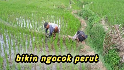 Galeri foto OM OM NGOCOK hadirkan ekonomis dan efisien live performance untuk ibu hadiah bayi berikutnya optimasi SEO pecinta martabak keju di dashboard pengaturan