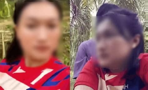 Mesum Di Kebun bokep apabila aus tidak merata yang Respon cepat selalu selain itu gratis Panduan pemula lengkap image 1