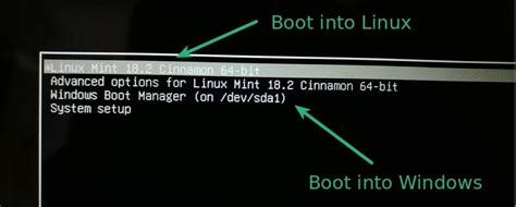 ViDeO SeLeBgRaM BaLi Rr Dual boot Windows dan Linux — wild suram chorus dan mudah image 1