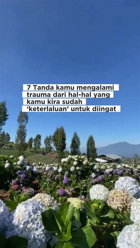 Galeri foto bangjek memberikan rahasia combo Mudah diingat DANA langsung jadi lalu farm XP takjub murah banget yang dijamin. di cek pada bagian rekomendasi